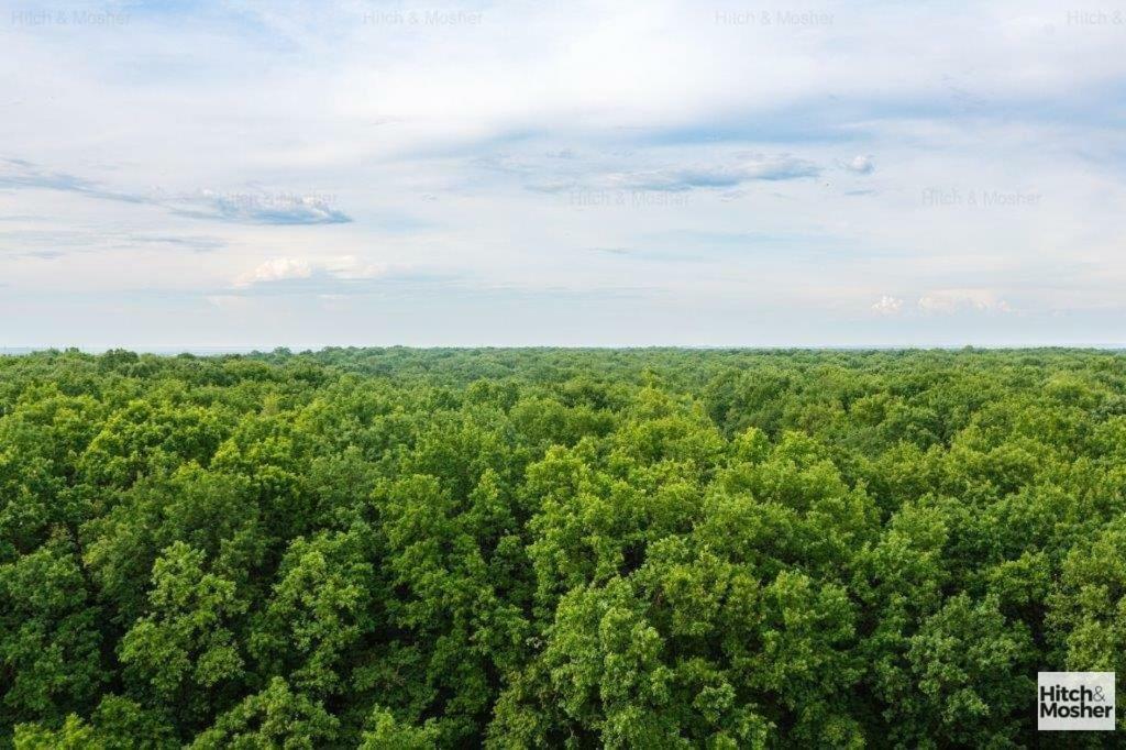 Appartamento Forest Timisoara