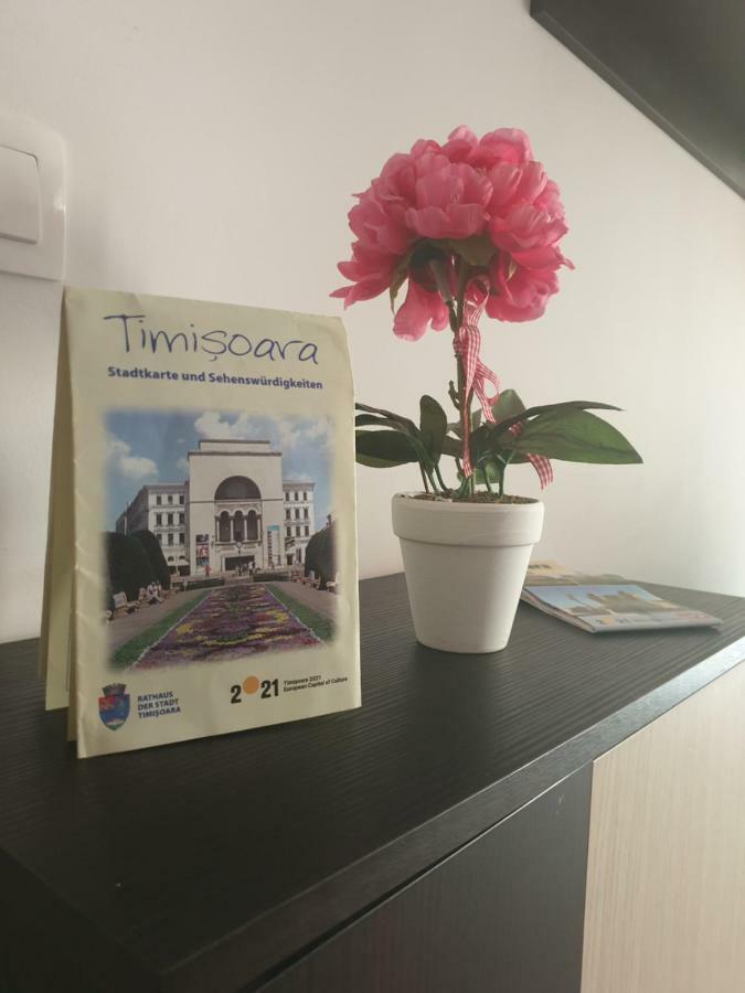 Apartment Forest Timisoara