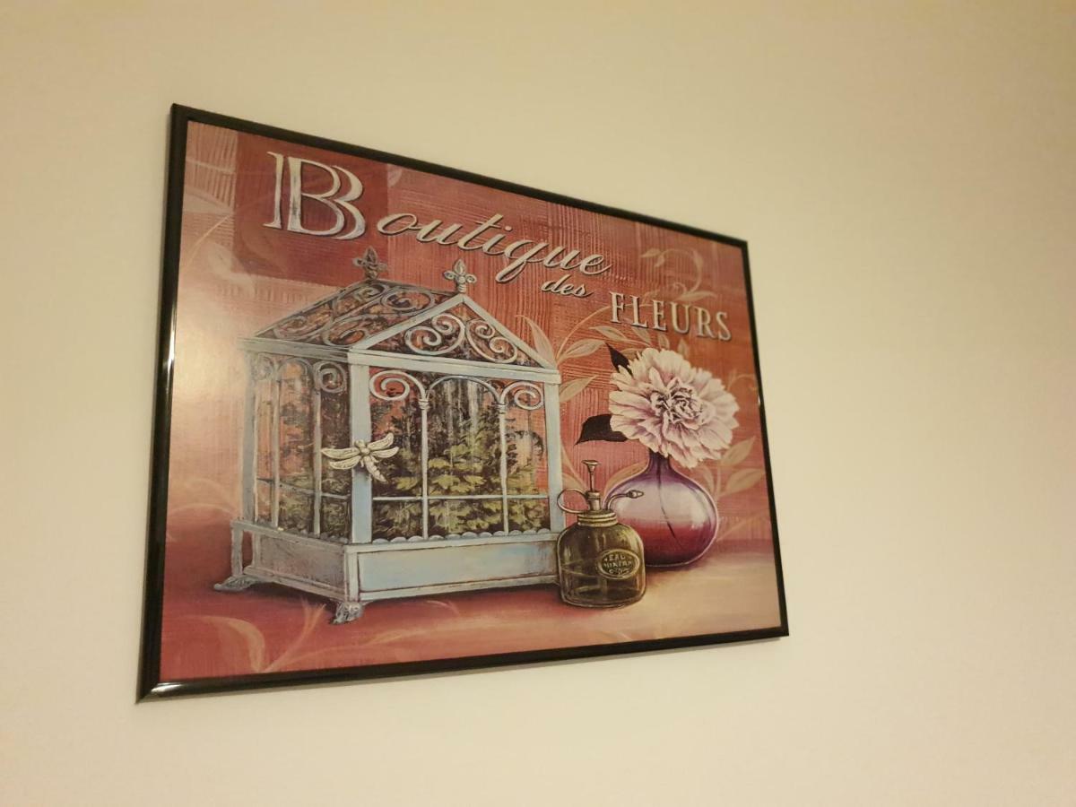 Apartment Forest Timisoara